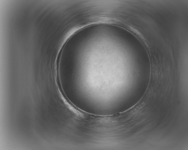 X0000060561479200511070934