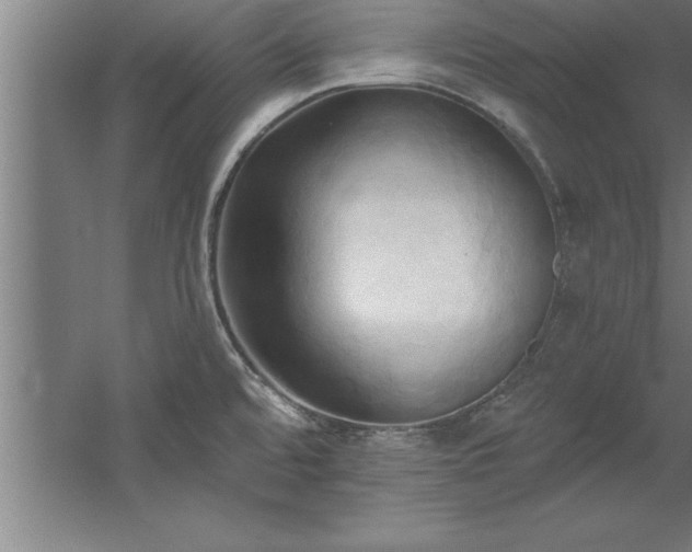 X0000060561480200511070934