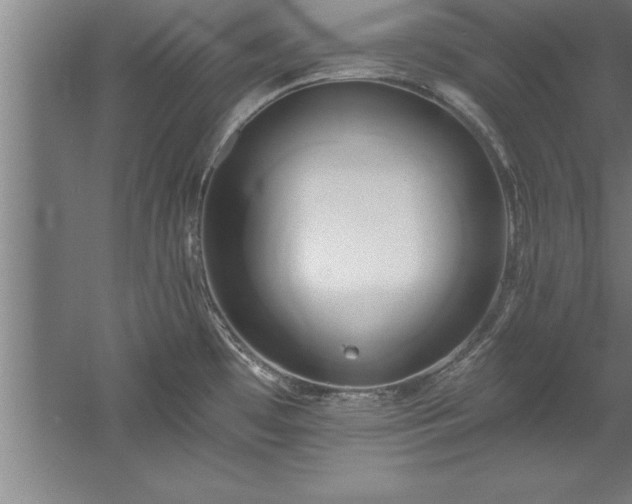 X0000060561481200511070934