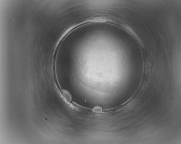 X0000060561484200511070934