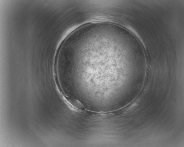 X0000060561485200511070934