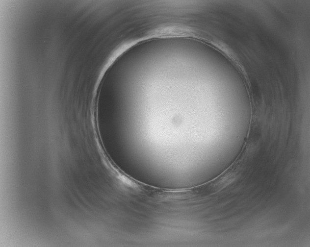 X0000060561486200511070934