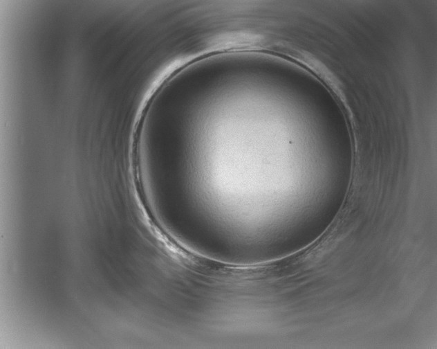 X0000060561488200511070934