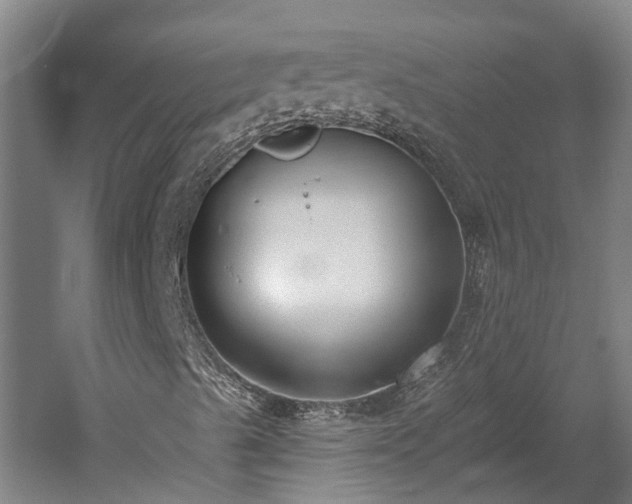 X0000060561489200511070933