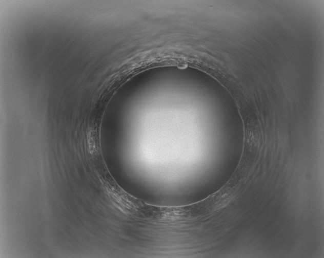 X0000060561490200511070933