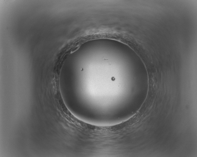 X0000060561493200511070933