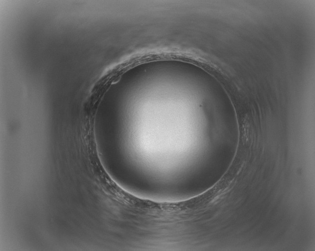 X0000060561494200511070933