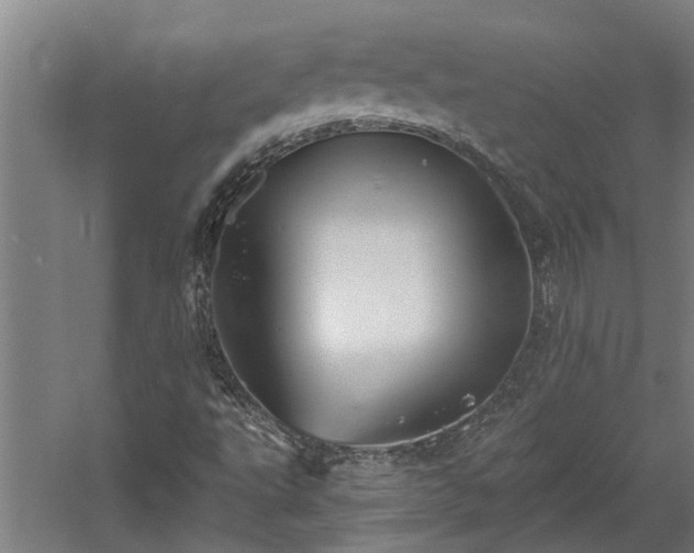 X0000060561495200511070933