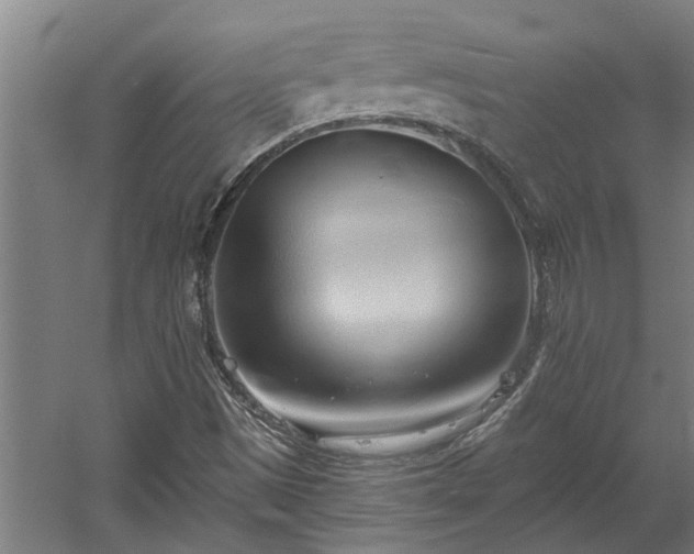 X0000060561497200511070933