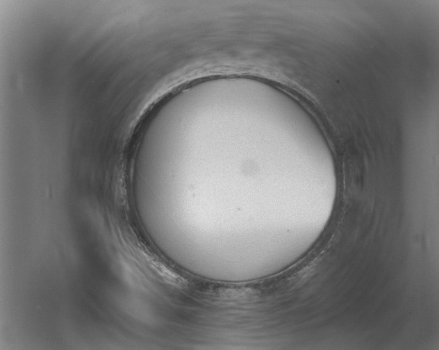 X0000060561498200511070933