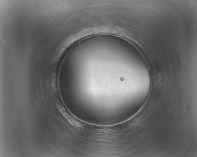 X0000060561499200511070933