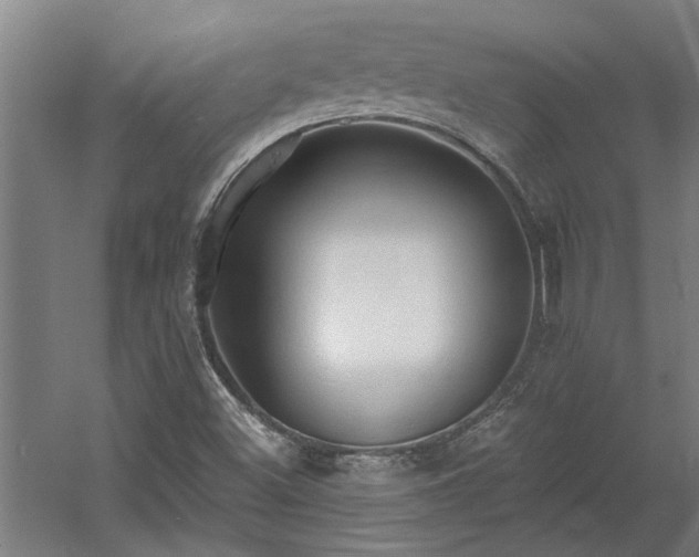 X0000060561500200511070933