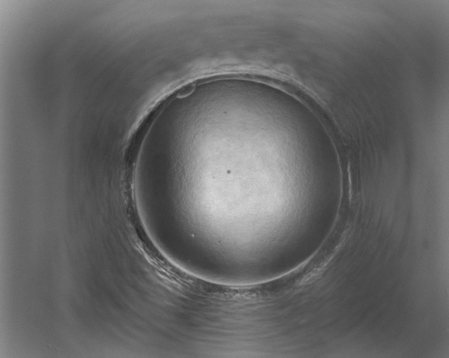 X0000060561501200511070933