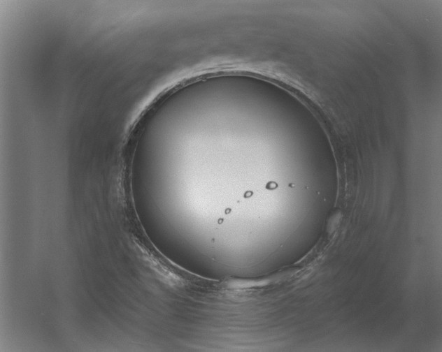 X0000060561502200511070933