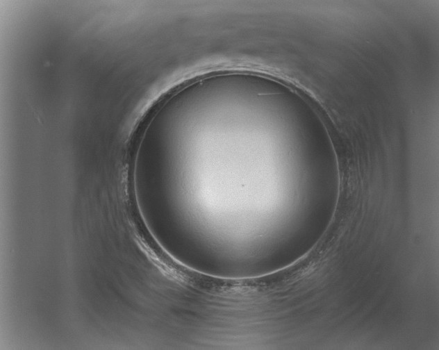 X0000060561503200511070933