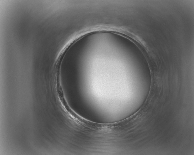 X0000060561504200511070933