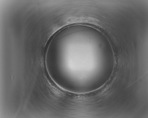 X0000060561505200511070933