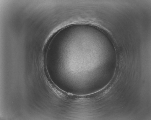 X0000060561506200511070933