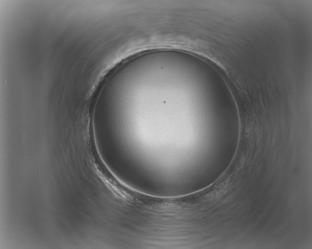 X0000060561507200511070933