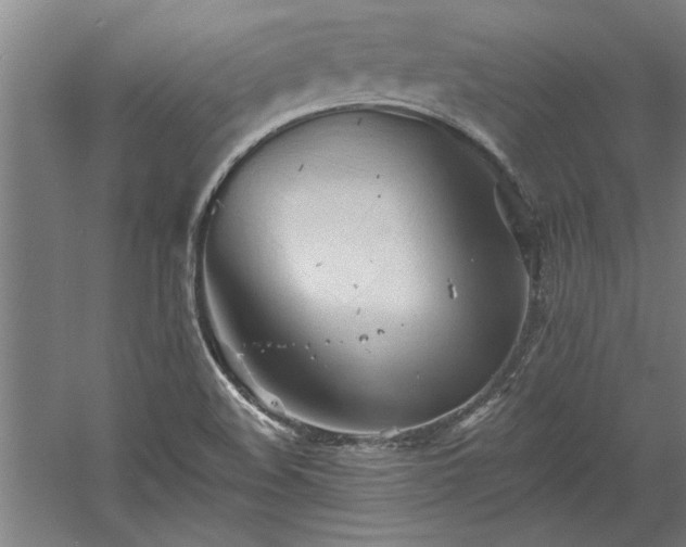 X0000060561508200511070933