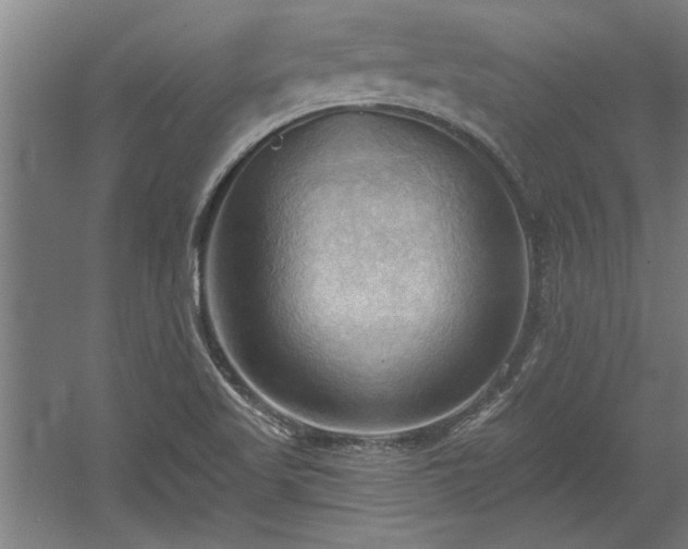 X0000060561509200511070934