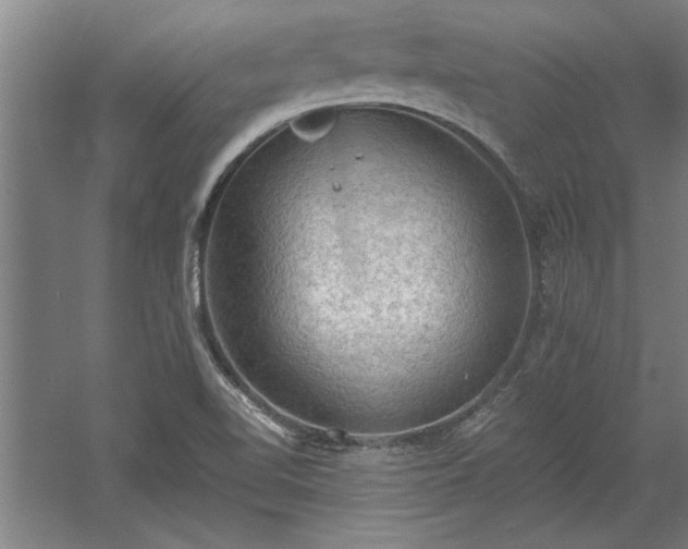 X0000060561510200511070934