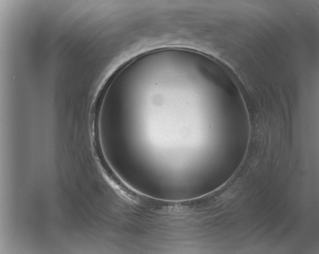 X0000060561511200511070934