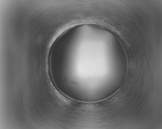 X0000060561512200511070934