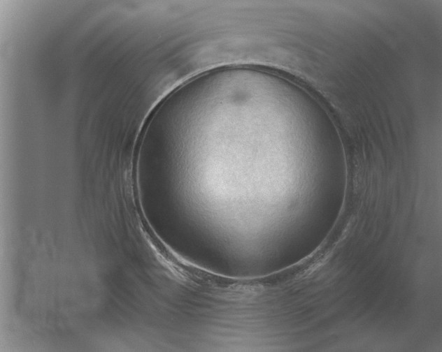 X0000060561513200511070934