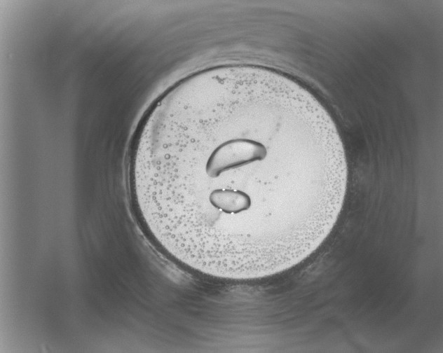 X0000060561514200511070934