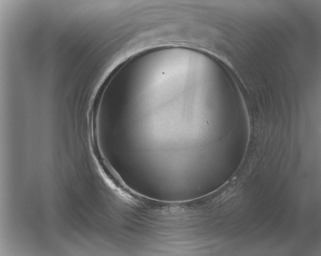 X0000060561515200511070934