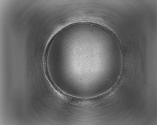 X0000060561517200511070934