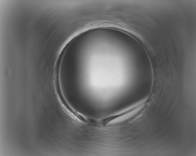 X0000060561518200511070934