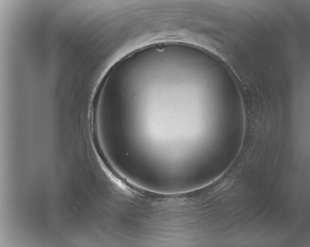 X0000060561519200511070934