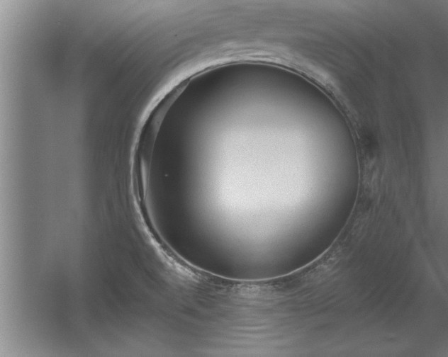 X0000060561520200511070934