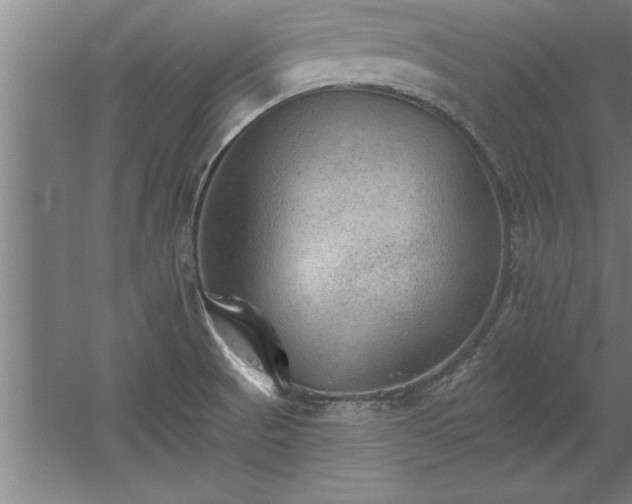 X0000060561521200511070934