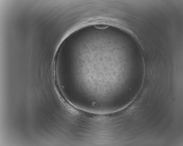 X0000060561522200511070934