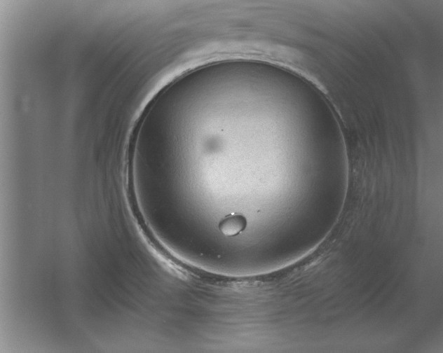 X0000060561523200511070934