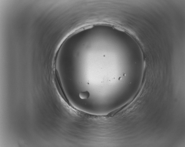 X0000060561524200511070934