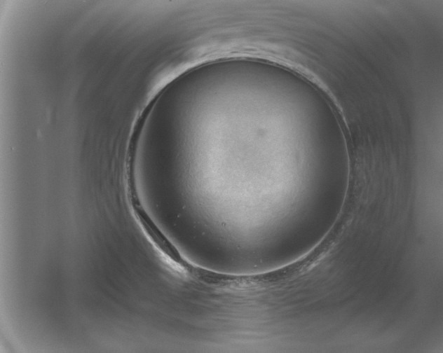 X0000060561525200511070934