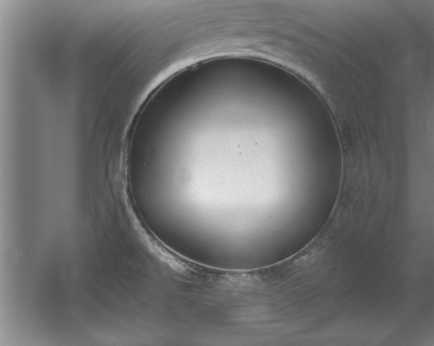 X0000060561526200511070934