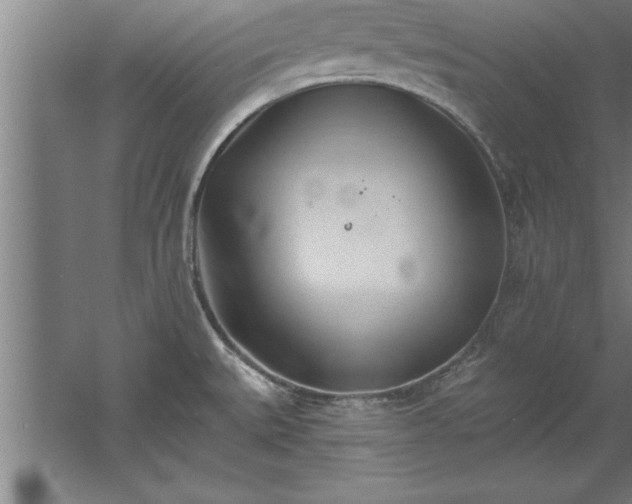 X0000060561527200511070934