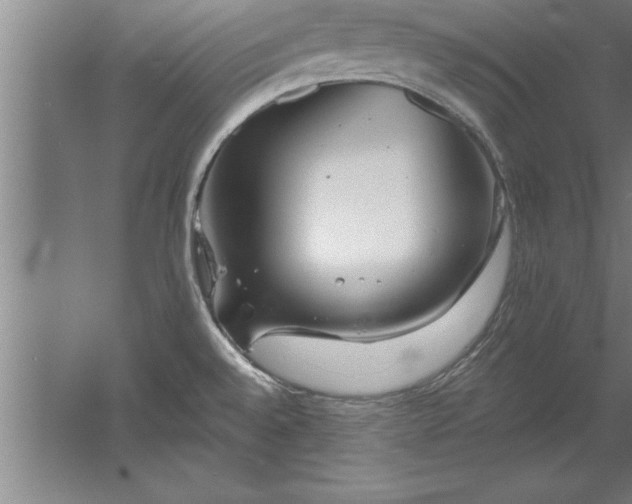 X0000060561528200511070934