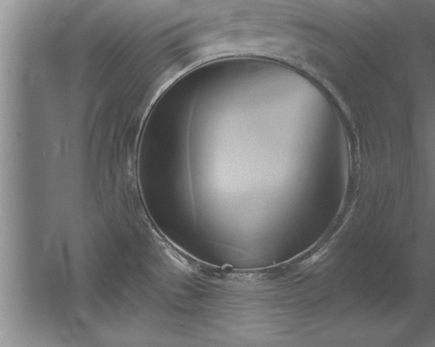 X0000060561529200511070934