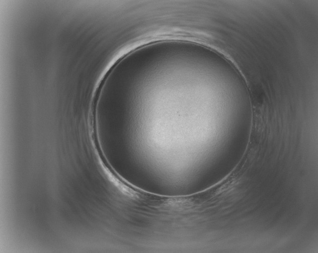 X0000060561531200511070934