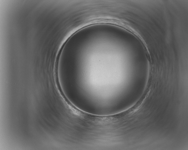 X0000060561533200511070934