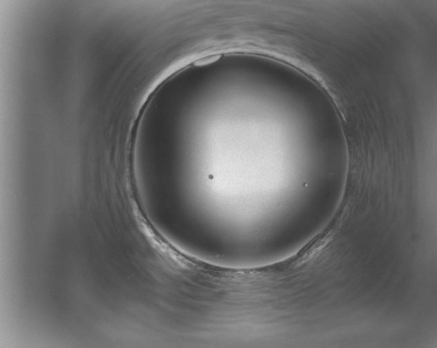 X0000060561534200511070934