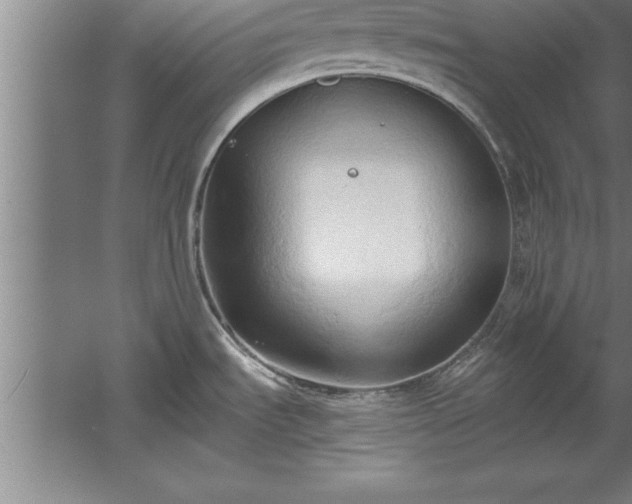 X0000060561535200511070934