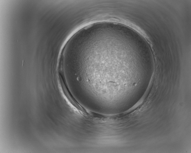 X0000060561536200511070934