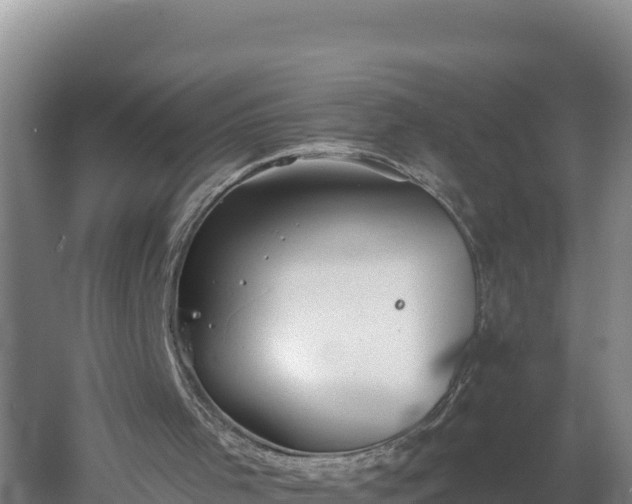 X0000060560001200511101615